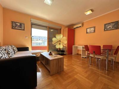 Apartment for rent in Preko Morače, Podgorica — photo 1