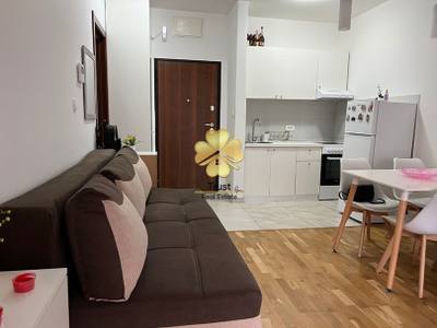 Apartment for rent in Ljubović, Podgorica — photo 6