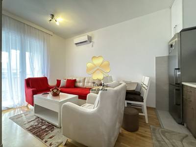 Apartment for rent in Stari Aerodrom, Podgorica — photo 3