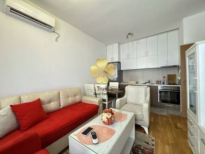 Apartment for rent in Stari Aerodrom, Podgorica — photo 4