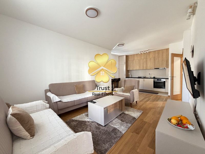 1-Bedroom Apartment for Rent in Acton City, 50m2