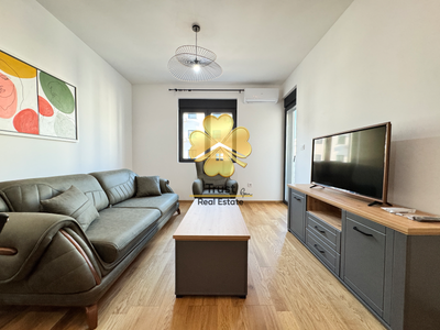 1-Bedroom Apartment in Acton city, 50m2