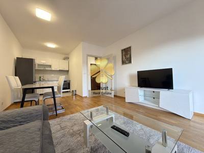 Apartment for rent in Ljubović, Podgorica — photo 3