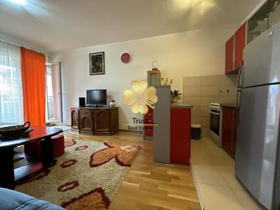 Apartment for rent in Tuški put, Podgorica — photo 2