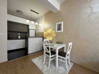 Apartment for rent in Ljubović, Podgorica — photo 3