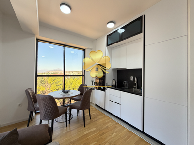 One-Bedroom Apartment for Rent in Dadi plaza, 50m2