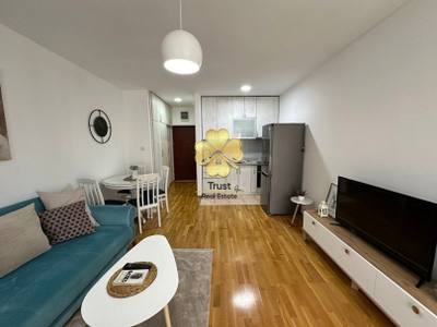 Apartment for rent in Tuški put, Podgorica — photo 10