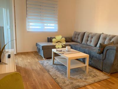 Apartment for rent in Stari Aerodrom, Podgorica — photo 3