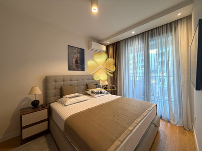 Linea Bulevar Knjaza Danila Petrovica Apt, 57 m2