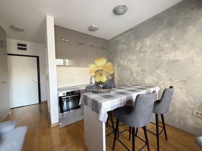 Apartment for rent in Preko Morače, Podgorica — photo 4