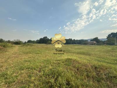 Commercial for sale in Danilovgrad — photo 2