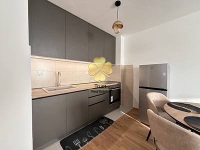 House for rent in Stari Aerodrom, Podgorica — photo 4
