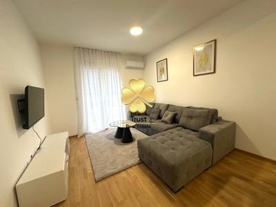 Apartment for rent in Stari Aerodrom, Podgorica — photo 2