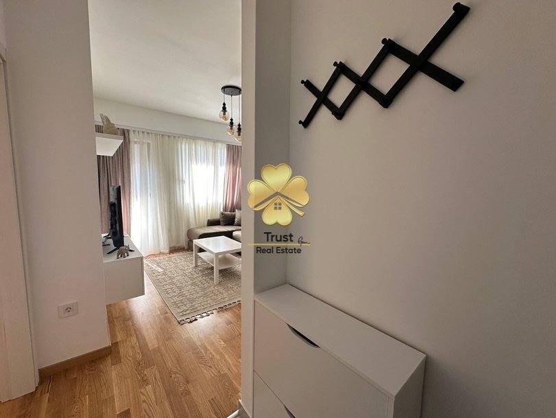 Jednosoban stan, Zabjelo, Podgorica, 40m2 — fotografija 9