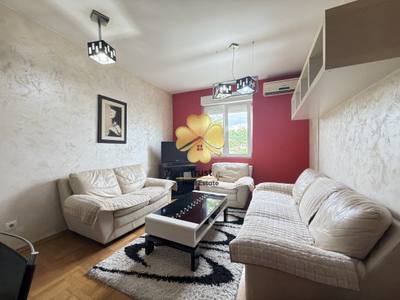 House for rent in Stari Aerodrom, Podgorica — photo 1