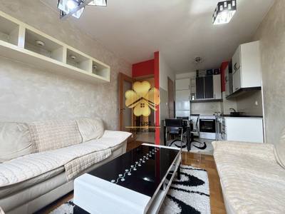 House for rent in Stari Aerodrom, Podgorica — photo 2