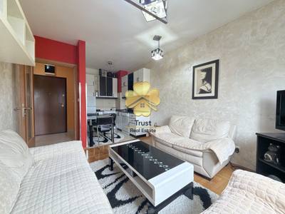 House for rent in Stari Aerodrom, Podgorica — photo 3
