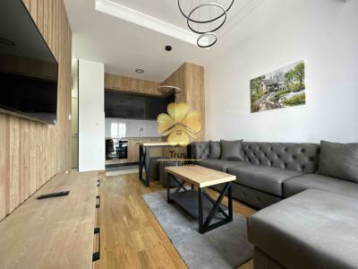 Apartment for rent in Zabjelo, Podgorica — photo 1