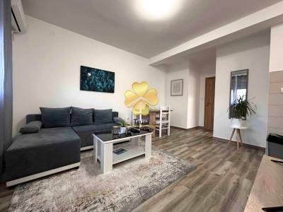 Apartment for rent in Gornja Gorica, Podgorica — photo 1